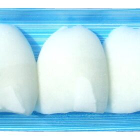 　紋甲5尾パック（小）